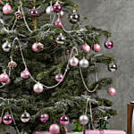 4 to 5 Fresh Christmas Tree With Pink Decoration