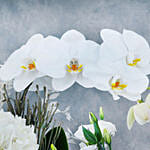 White Flowers in Premium Tray