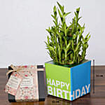 3 Layer Bamboo Plant and Mirzam Chocolates for Birthday