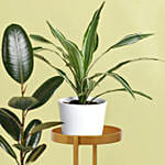 Love of Shade Plant Stand