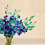 Mesmerizing Blue Orchids