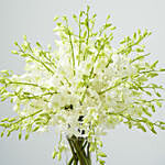 باقة ورد أوركيد أبيض في مزهرية زجاجية