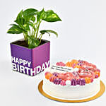 Happy Birthday My Sweetheart Cake With Plant