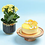 Lemon Cheese cake With Plant