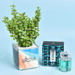 Love You Dad Jade Plant with Perfume