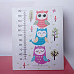 Multicoloured Owl Trio Height Chart