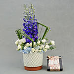 Peaceful Blue Flowers with Chocolates