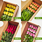 Weekly Subscription Colors of Roses