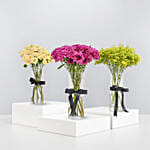 Beautiful Flowers Set of 3