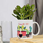 Birthday Wishes with Crassula Ovata Plant