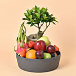 Bonsai and Fruits Tray