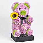 Chrysanthemum Flowers Teddy