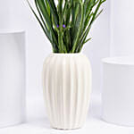 IRIS Flowers Arrangement in Premium Vase