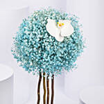 Butterfly n Blue Sky Gypso Arrangement