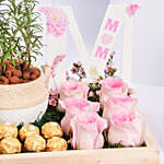 كومبو هدايا عيد الأم نبتة روز ماري وشوكولاتة في بوكس