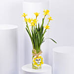 Daffodils Arrangement for Birthday