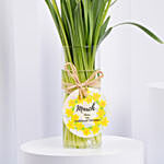 Daffodils Arrangement for Birthday