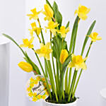 Daffodils and Tulip Pot
