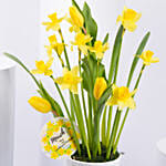 Daffodils and Tulip Pot