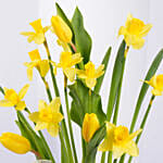 Daffodils and Tulip Pot