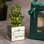 Bostani Get Well Soon Chocolate Box Large with Lucky Bamboo