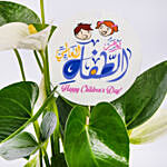 White Anthurium Plant for Childrens Day