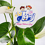 White Anthurium Plant for Childrens Day