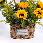 Sunflower Shine Basket