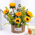 Sunflower Shine Basket And Cake