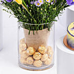 Feb Birthday Flower Iris & Tulips with Cake