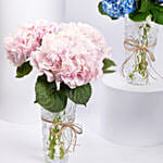 Trio Of Hydrangea Beauty