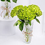 Trio Of Hydrangea Beauty