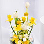 Easter Daffodils With Tulips