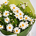 April Birthday Daisy Flower Bouquet