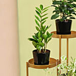 Welcome Good Luck To Home Plant Stand