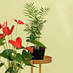 Natures Elegance Plant Stand