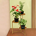 Natures Elegance Plant Stand