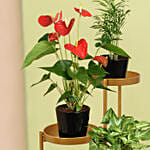 Natures Elegance Plant Stand