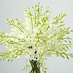 38 White Orchids Arrangement