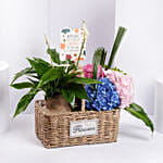 Grandparents Day Wishes Flowers And Plant Basket