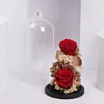 ورد احمر دائم