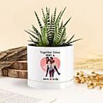 Together Forever Echeveria Plant In A Vase