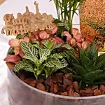 Eid Serenity Planter