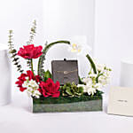 Cerruti 1881 Bianca Bracelet For Her