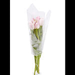 Fresh Bunch of Pink Tulips 10 Tulips