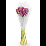 Fresh Bunch of Purple Tulips 10 Tulips