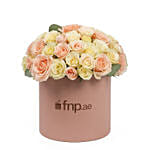 Blush Bloom Delight