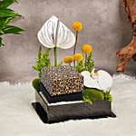 Just Cavalli Signature Snake Design Luxury Watch Gift Tray For Her