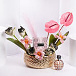 Jimmy Choo Edp For Women Luxury Gift Arrangement