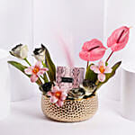 Jimmy Choo Edp For Women Luxury Gift Arrangement